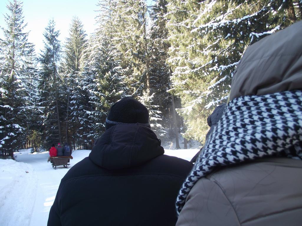 Cabana Piatra Runcului Vatra Moldoviţei Екстериор снимка