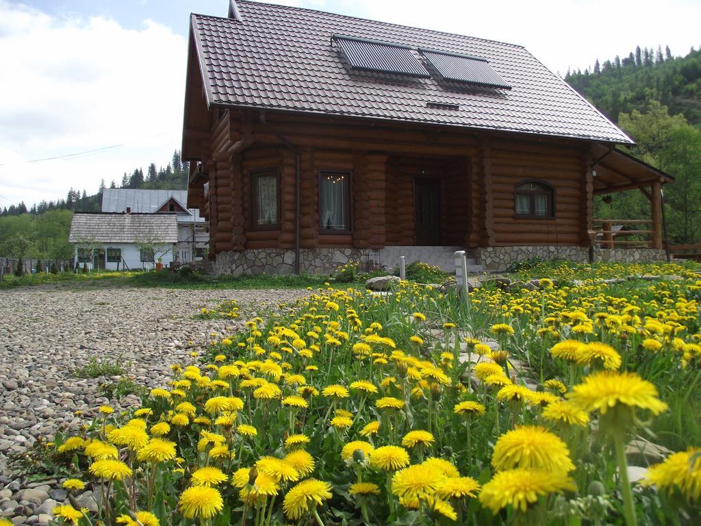Cabana Piatra Runcului Vatra Moldoviţei Екстериор снимка