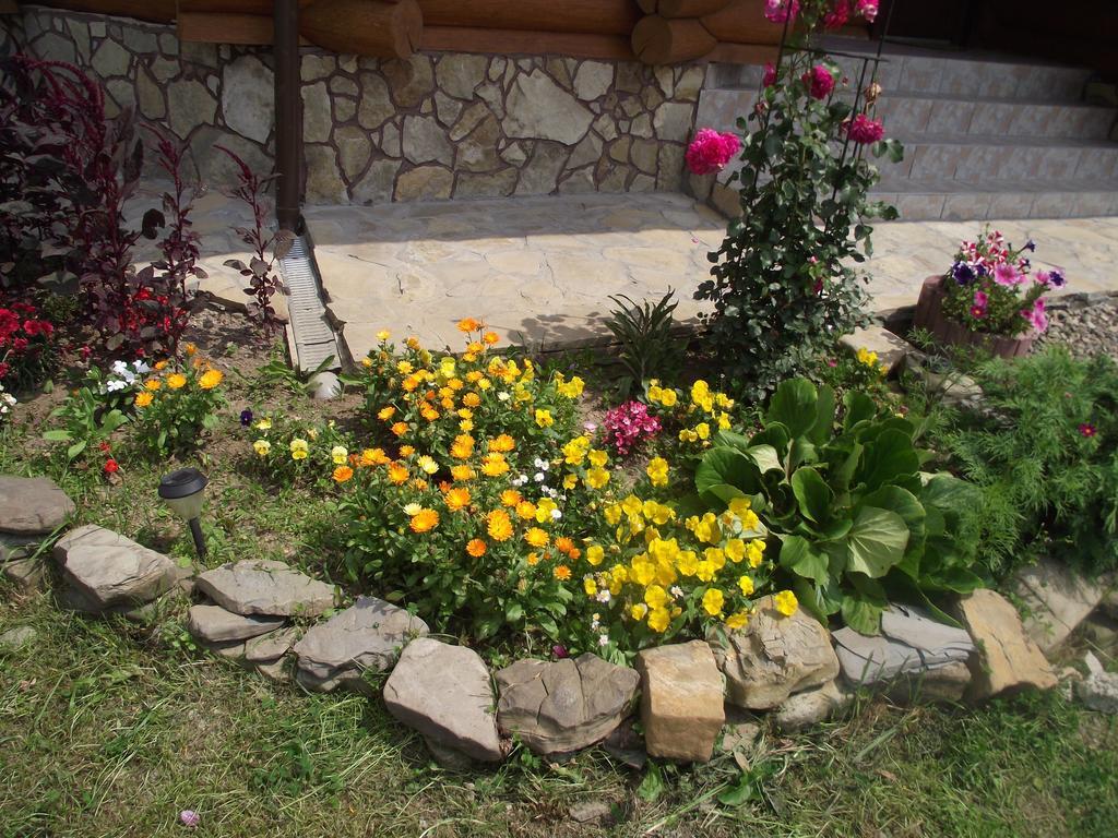 Cabana Piatra Runcului Vatra Moldoviţei Екстериор снимка