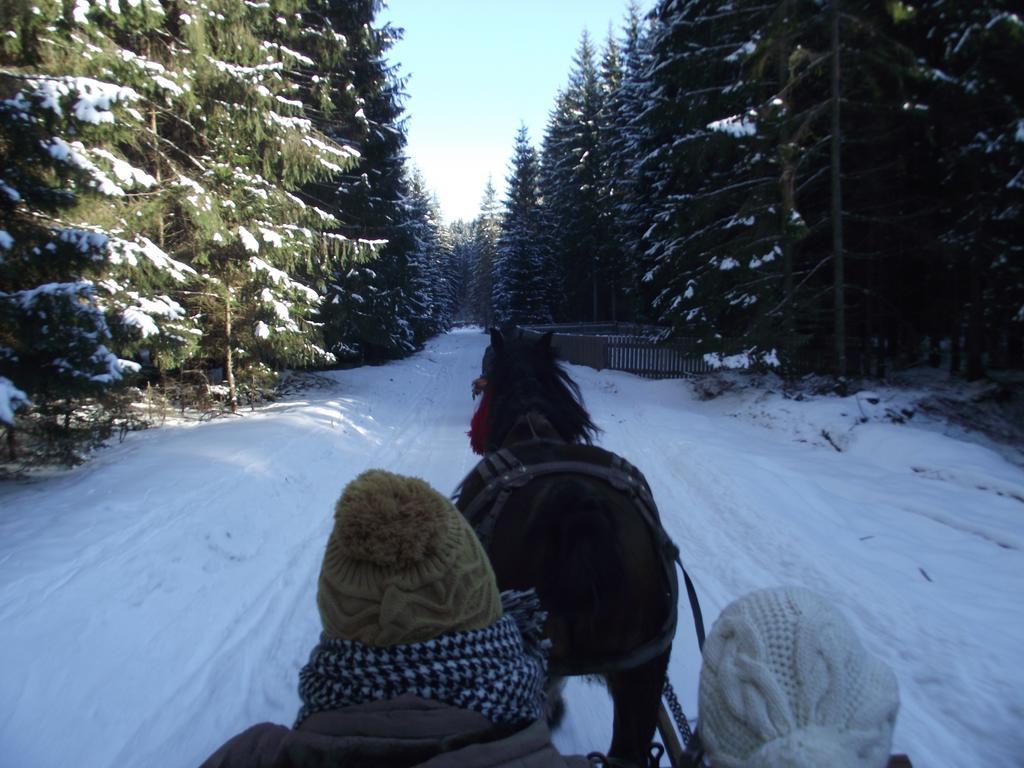 Cabana Piatra Runcului Vatra Moldoviţei Екстериор снимка